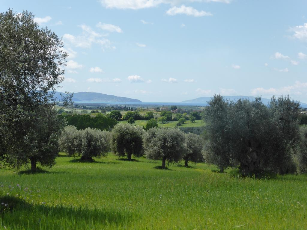 Campospillo Villa Magliano in Toscana Exterior photo