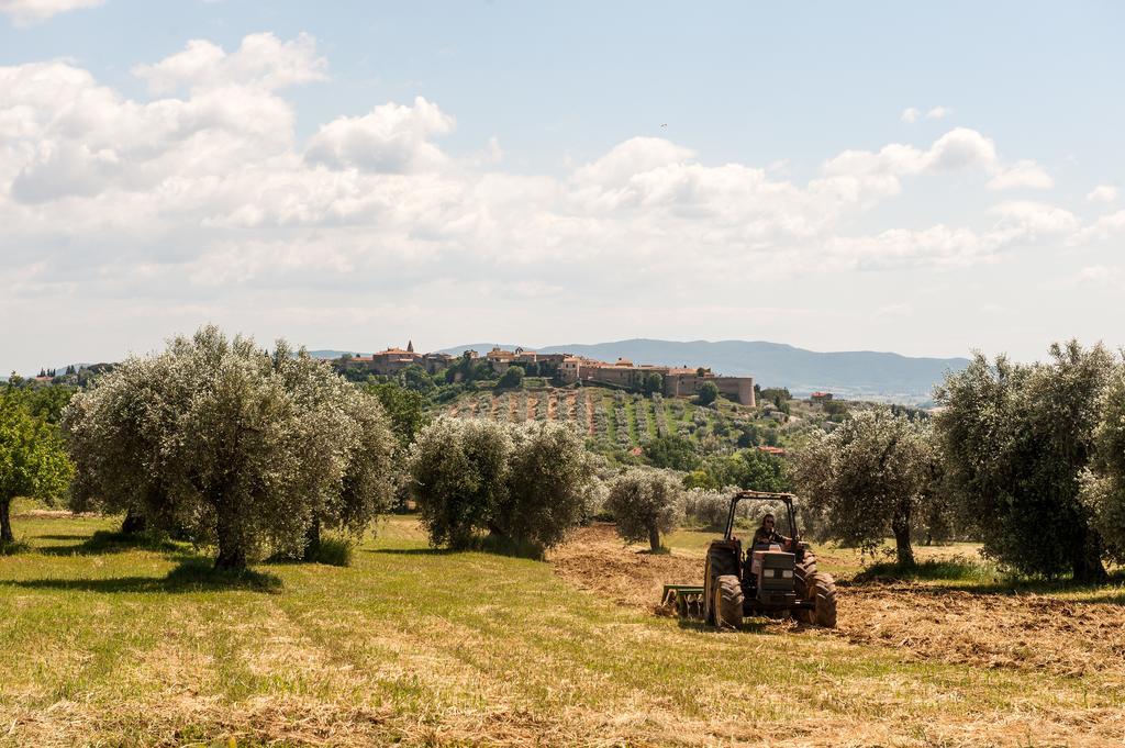 Campospillo Villa Magliano in Toscana Exterior photo